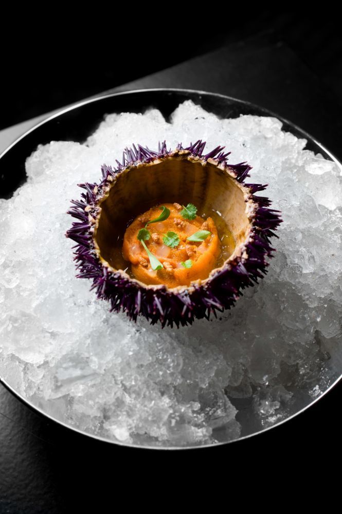 oursin amuse bouche étoilé paris